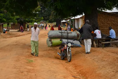 DSC_4703 (Large).JPG